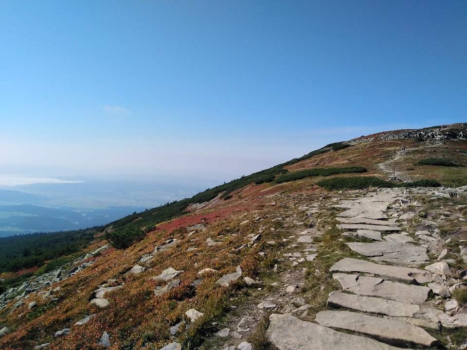 IMG 20210915 105733