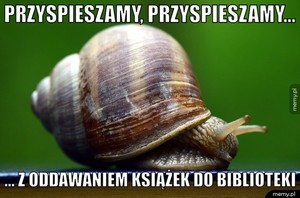 zwrot small